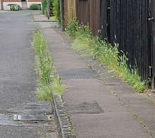 Bild zu gemeldetem Anliegen vom *2024-05-29 00:46:57