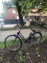 Bild zu gemeldetem Anliegen vom *2024-05-17 03:30:13