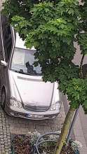 Bild zu gemeldetem Anliegen vom *2024-05-08 10:19:49