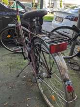 Bild zu gemeldetem Anliegen vom *2024-05-14 17:15:13