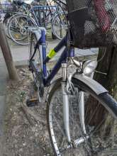 Bild zu gemeldetem Anliegen vom *2024-05-14 17:18:51