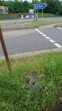 Bild zu gemeldetem Anliegen vom *2024-05-27 19:53:51