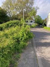 Bild zu gemeldetem Anliegen vom *2024-05-22 14:10:58