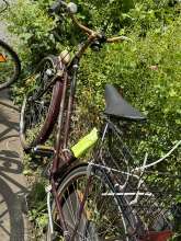 Bild zu gemeldetem Anliegen vom *2024-05-19 13:42:13