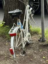 Bild zu gemeldetem Anliegen vom *2024-05-21 12:12:45