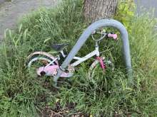 Bild zu gemeldetem Anliegen vom *2024-05-21 12:51:46