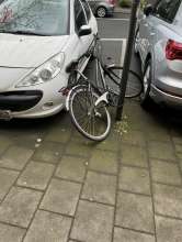 Bild zu gemeldetem Anliegen vom *2024-05-03 06:36:22