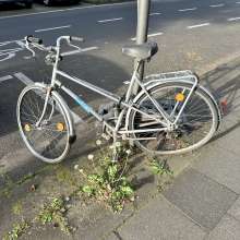 Bild zu gemeldetem Anliegen vom *2024-05-01 16:25:01