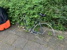 Bild zu gemeldetem Anliegen vom *2024-05-20 10:54:16