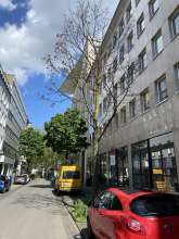 Bild zu gemeldetem Anliegen vom *2024-05-05 12:30:49