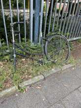 Bild zu gemeldetem Anliegen vom *2024-05-23 18:31:16