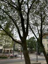 Bild zu gemeldetem Anliegen vom *2024-05-07 18:27:48