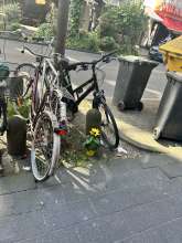 Bild zu gemeldetem Anliegen vom *2024-05-19 10:12:20