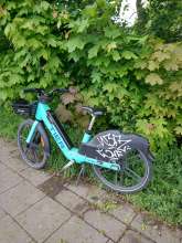 Bild zu gemeldetem Anliegen vom *2024-05-01 16:21:44