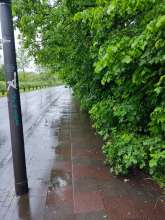 Bild zu gemeldetem Anliegen vom *2024-05-07 08:54:10