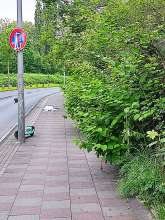 Bild zu gemeldetem Anliegen vom *2024-05-07 20:27:57