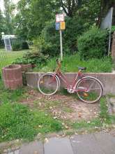 Bild zu gemeldetem Anliegen vom *2024-05-09 18:28:15