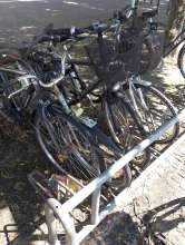 Bild zu gemeldetem Anliegen vom *2024-05-14 18:35:17