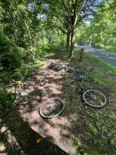 Bild zu gemeldetem Anliegen vom *2024-05-09 12:29:56