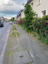Bild zu gemeldetem Anliegen vom *2024-05-23 22:26:49
