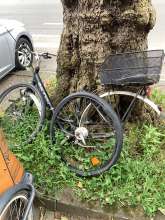 Bild zu gemeldetem Anliegen vom *2024-05-14 14:34:27