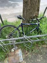 Bild zu gemeldetem Anliegen vom *2024-05-18 15:15:39