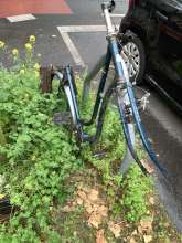 Bild zu gemeldetem Anliegen vom *2024-05-23 06:28:44