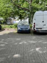 Bild zu gemeldetem Anliegen vom *2024-05-06 00:33:26