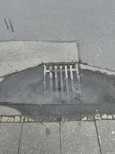 Bild zu gemeldetem Anliegen vom *2024-05-30 10:29:09