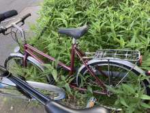 Bild zu gemeldetem Anliegen vom *2024-05-13 20:18:59