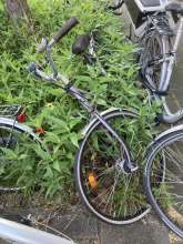 Bild zu gemeldetem Anliegen vom *2024-05-13 20:19:47