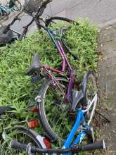 Bild zu gemeldetem Anliegen vom *2024-05-13 20:21:33