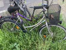 Bild zu gemeldetem Anliegen vom *2024-05-13 20:48:42