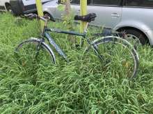 Bild zu gemeldetem Anliegen vom *2024-05-13 20:47:09