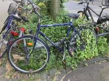 Bild zu gemeldetem Anliegen vom *2024-05-13 20:38:36