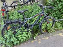 Bild zu gemeldetem Anliegen vom *2024-05-13 20:37:44