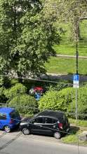 Bild zu gemeldetem Anliegen vom *2024-05-01 10:15:31