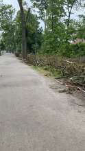Bild zu gemeldetem Anliegen vom *2024-05-14 09:47:34