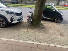 Bild zu gemeldetem Anliegen vom *2024-05-10 19:08:41