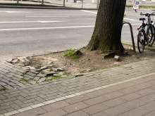 Bild zu gemeldetem Anliegen vom *2024-05-10 19:10:36