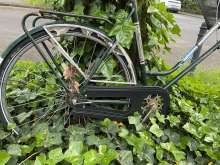 Bild zu gemeldetem Anliegen vom *2024-05-10 19:53:24