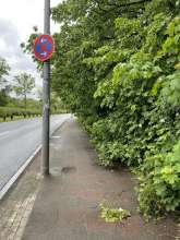 Bild zu gemeldetem Anliegen vom *2024-05-03 11:52:01