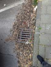 Bild zu gemeldetem Anliegen vom *2024-05-20 09:27:56