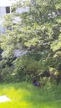 Bild zu gemeldetem Anliegen vom *2024-05-14 13:41:52
