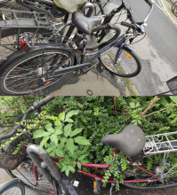 Bild zu gemeldetem Anliegen vom *2024-05-10 07:32:44