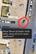 Bild zu gemeldetem Anliegen vom *2024-05-09 13:54:21