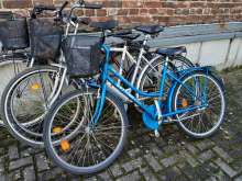 Bild zu gemeldetem Anliegen vom *2024-05-24 16:42:36