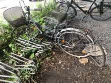 Bild zu gemeldetem Anliegen vom *2024-05-27 10:37:49