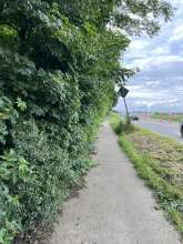 am Kölnberg-27.05.2024
