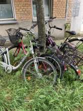 Bild zu gemeldetem Anliegen vom *2024-05-23 11:43:58